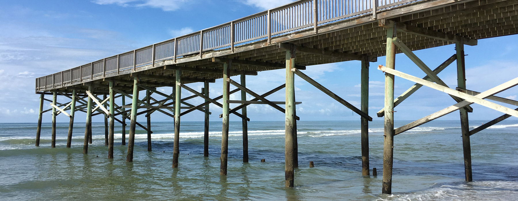 CCA Treated Dock Pilings